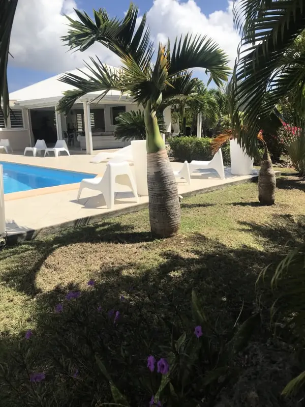 Traveller's Tree Villa