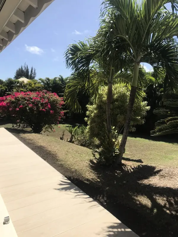 Traveller's Tree Villa