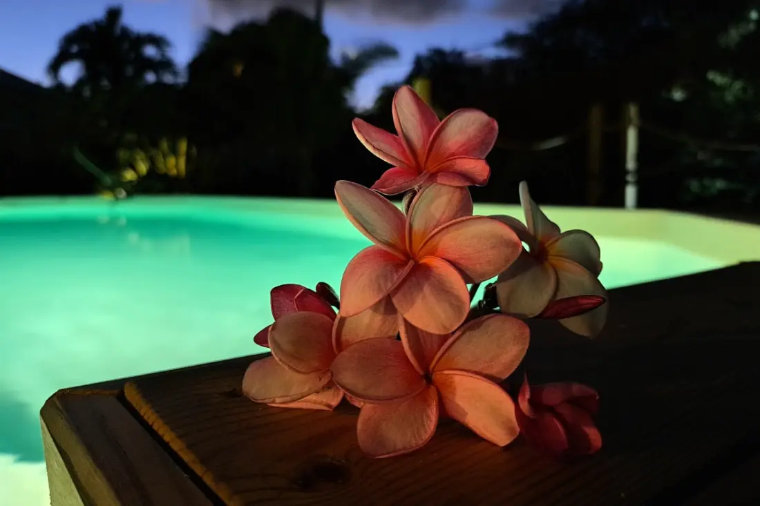 Villa La Plumeria