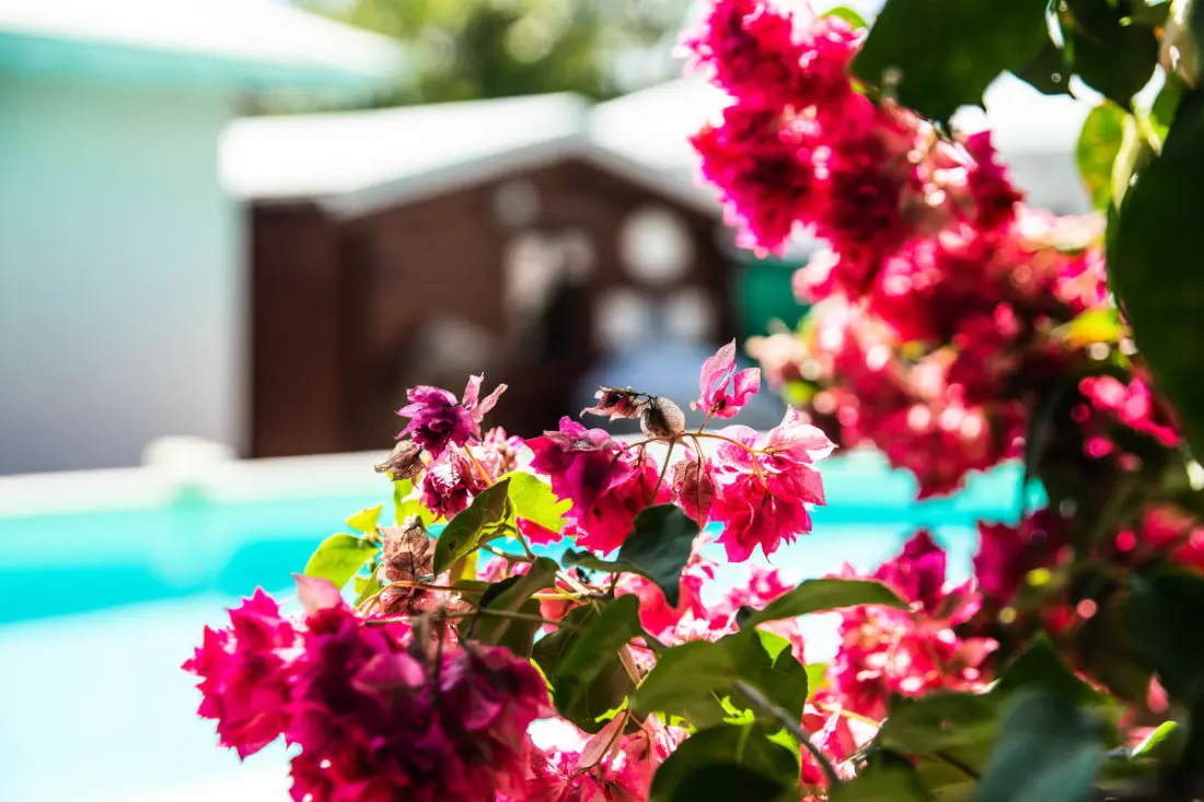 Villa La Plumeria