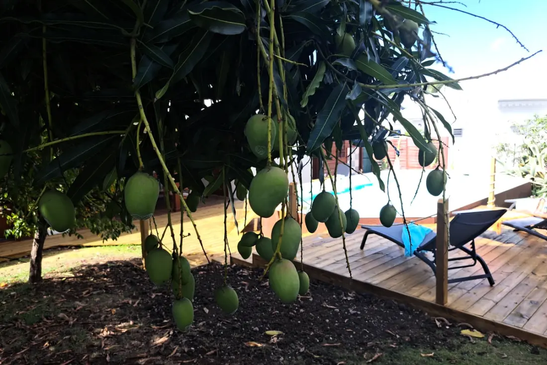 Villa La Plumeria