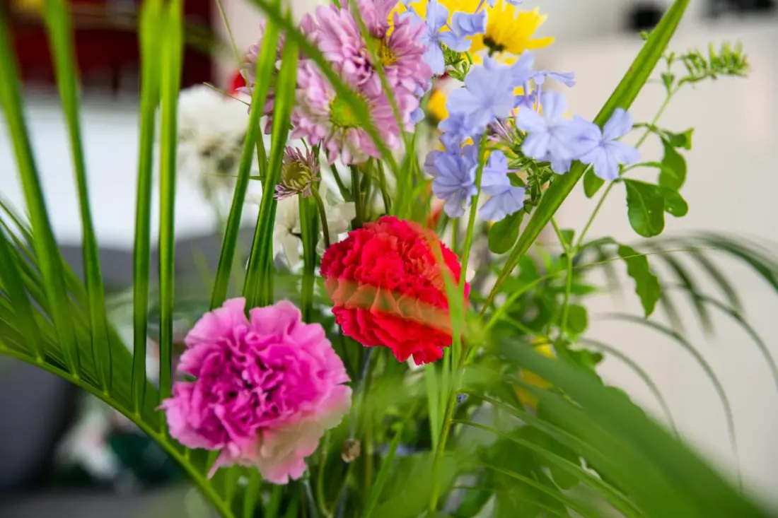 Villa Orée Du Golf