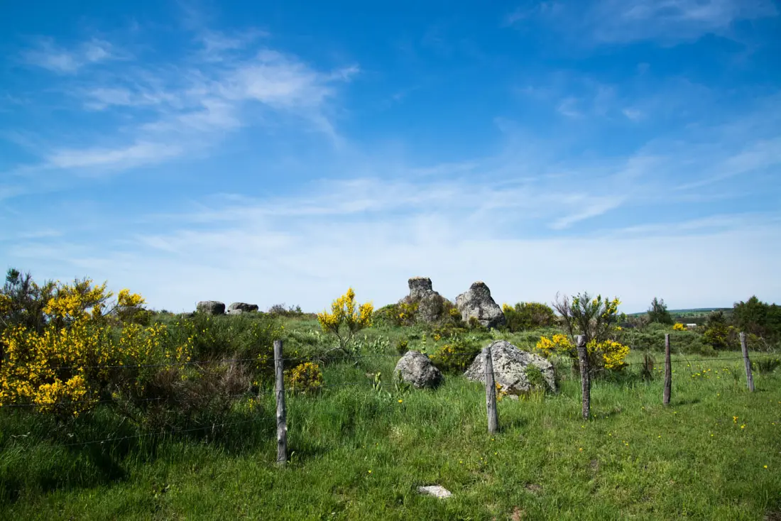 Gîte de France Gîtes de France 2/4 Personen in La Peyre 2 Ähren