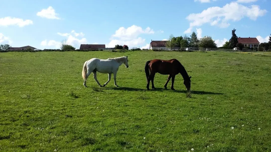 Gîte de France Les petits rivailles 3 oren