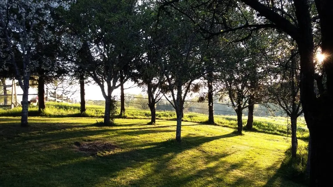 Gîte de France Les petits rivailles 3 oren