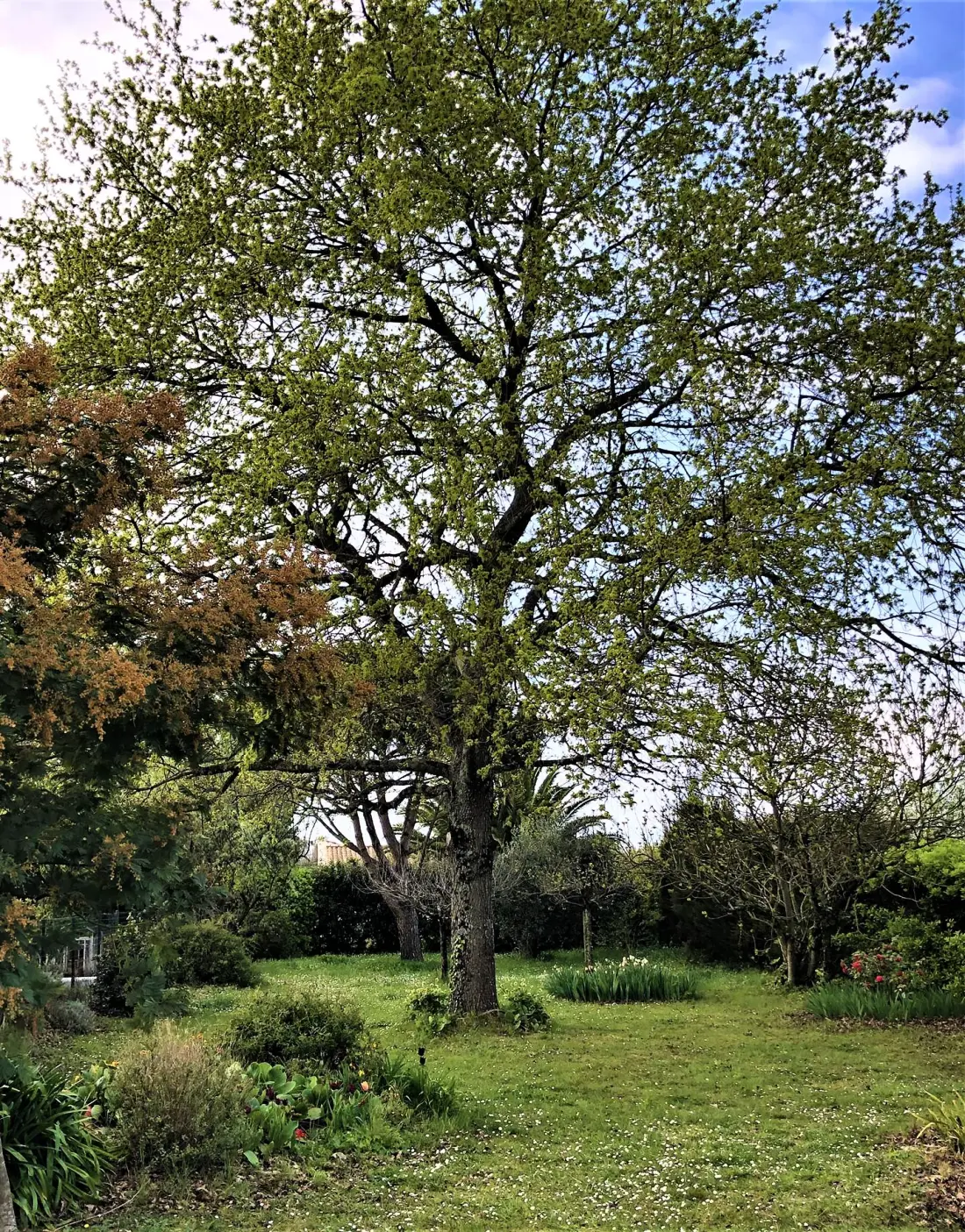 Residence Sgo000-112-Saint Georges D'oleron