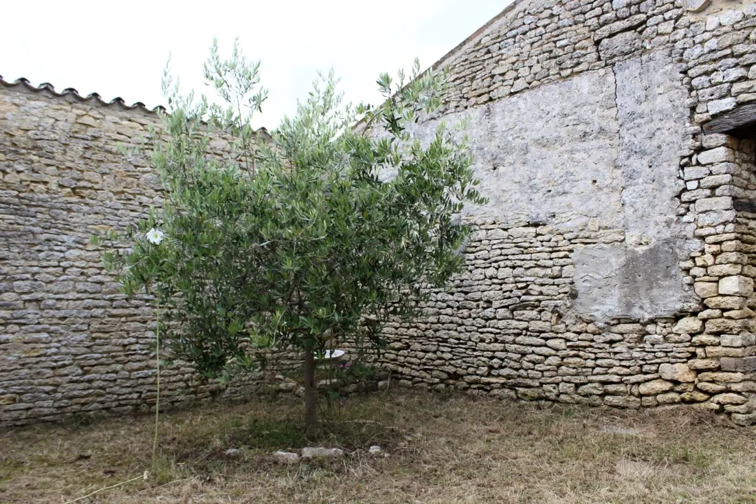 Residence Sgo000-129-szent Georges D'oleron
