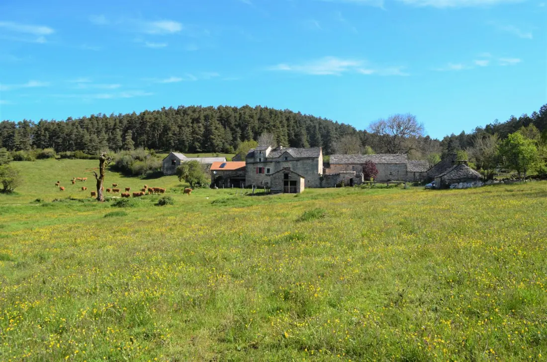 Gîte de France Gîte du gauzinès 3 Ohren
