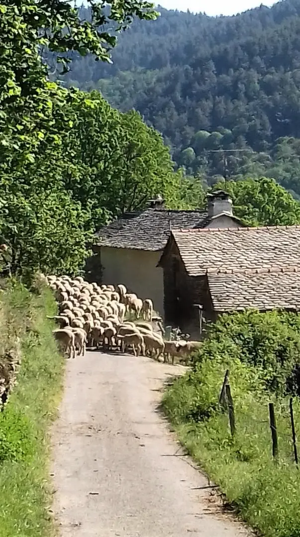 Gîte de France Die Hütte des Grafen 2/3 Personen 3 Ohren