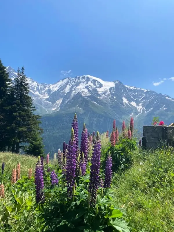T2 Medencével Saint-gervais-les-bains