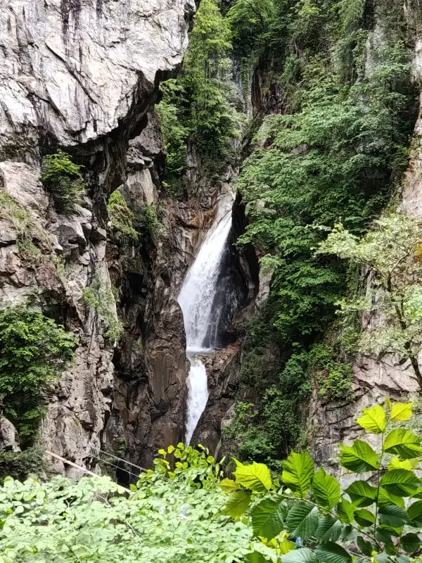 View Aravis és Terrace, Közeli Témák