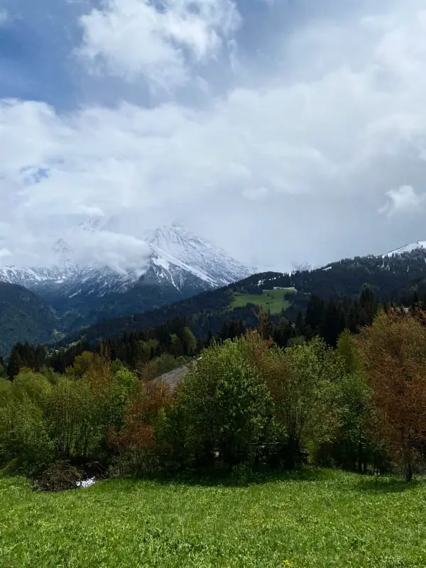 View Aravis és Terrace, Közeli Témák