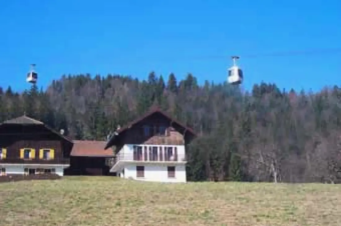 Pylone faház