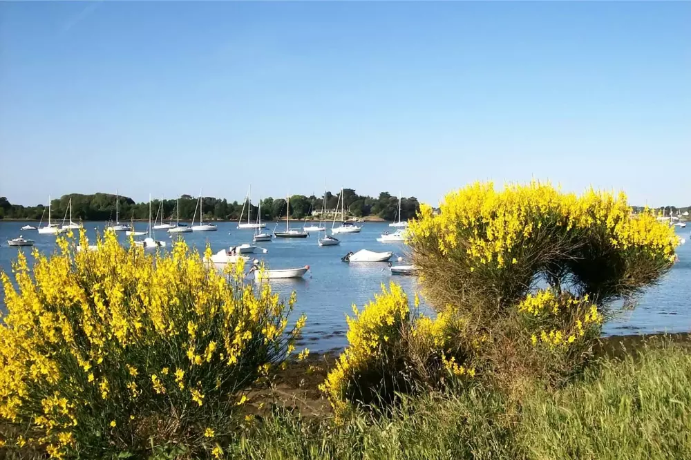 Camping du Menhir 41 Stars★