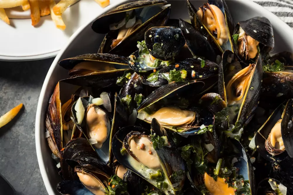 Camping du Menhir 41 Stars★