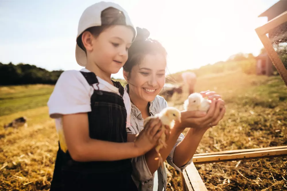 Camping du Menhir 41 Stars★