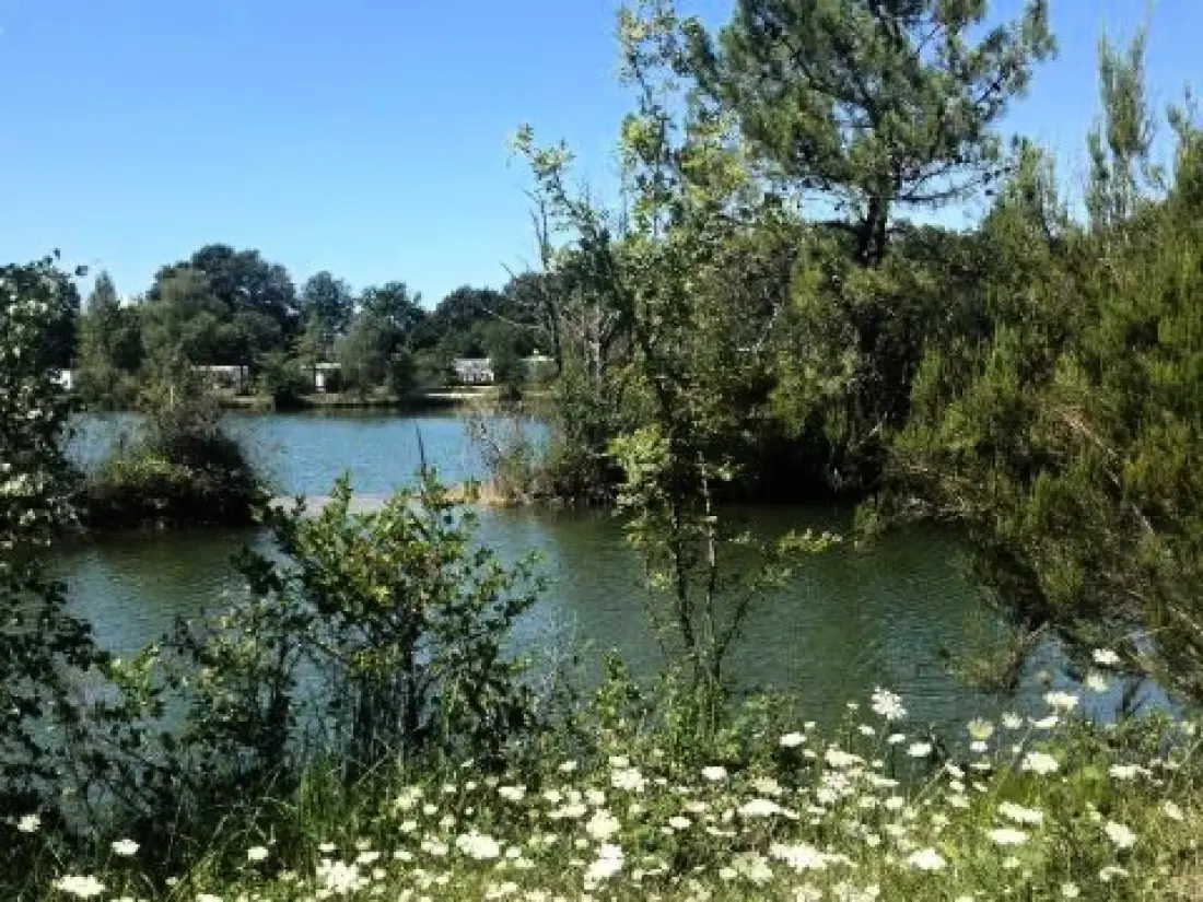 Kemping Les Etangs Mina 3 Csillagok★★★