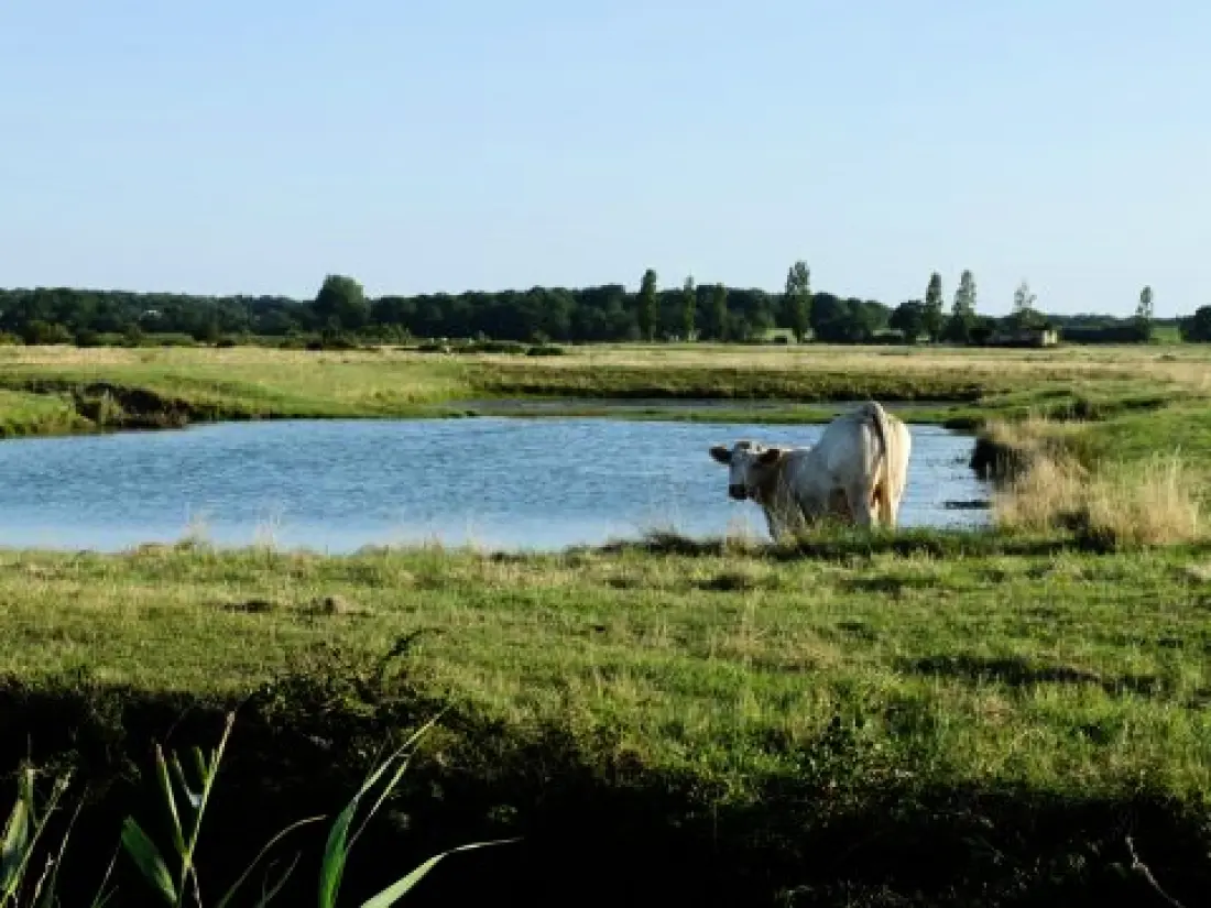 Kemping Les Etangs Mina 3 Csillagok★★★