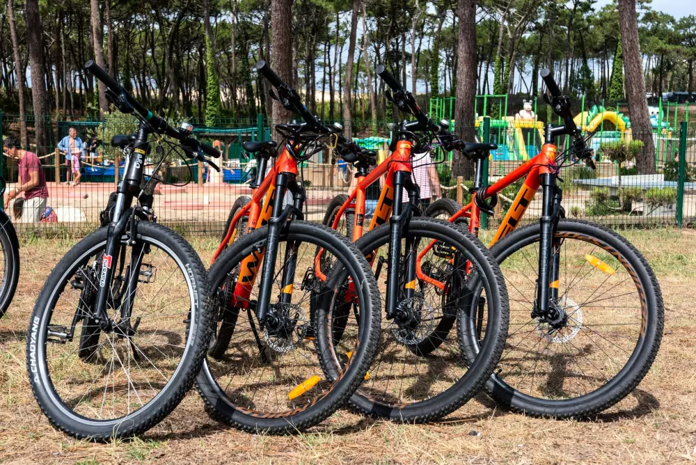 Camping Club Les Tourterelles 4 Estrellas★★★★ - MS Vacances