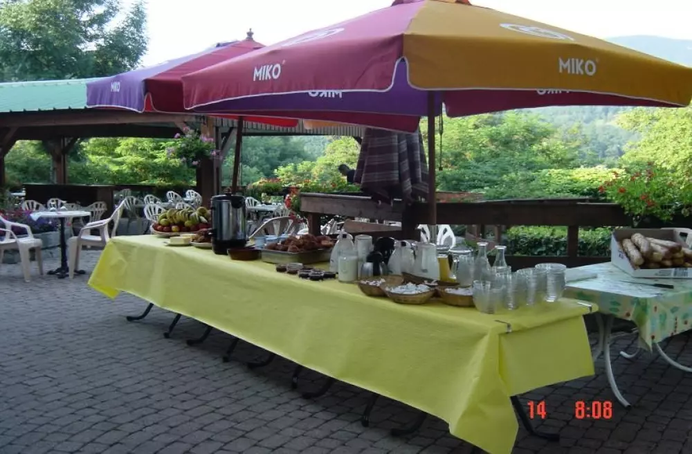 Camping PARC DE PALETES