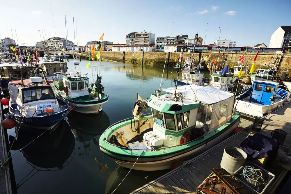 Appartements à Saint-Hilaire-de-Riez