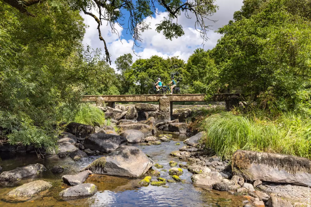 Appartements à Saint-Hilaire-de-Riez