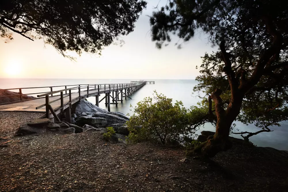 Campsite Domaine des Salins 4 Stars★★★★