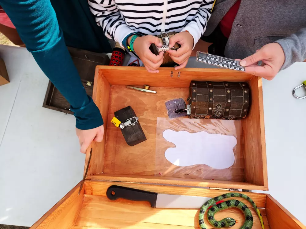 Campsite Domaine des Salins 4 Stars★★★★