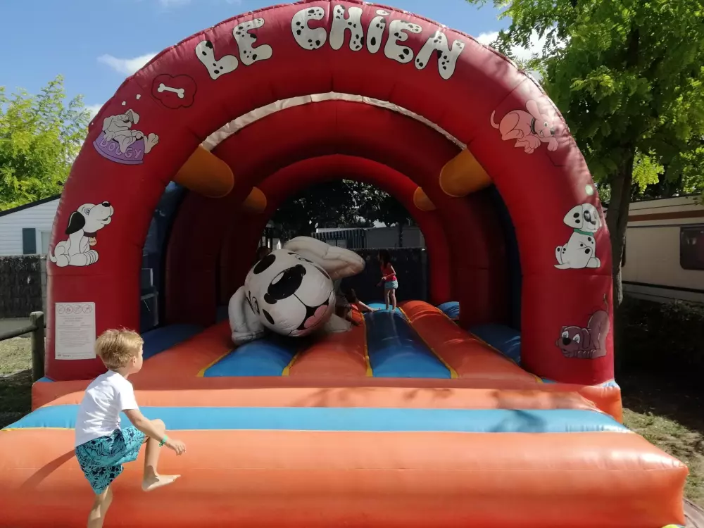 Campsite Domaine des Salins 4 Stars★★★★