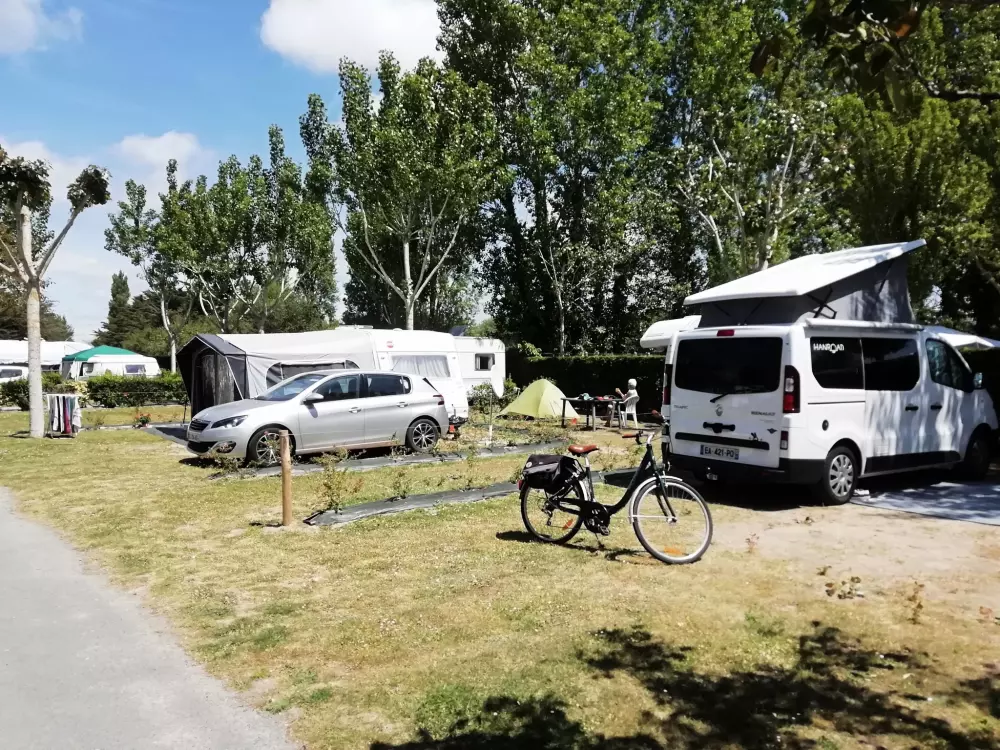 Campsite Domaine des Salins 4 Stars★★★★