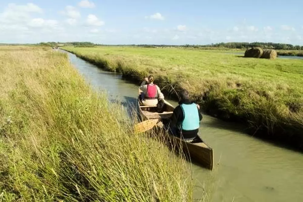 Campsite Domaine des Salins 4 Stars★★★★