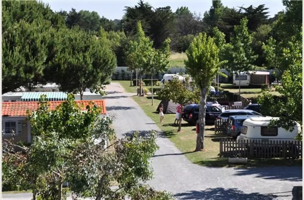 Campsite Domaine des Salins 4 Stars★★★★