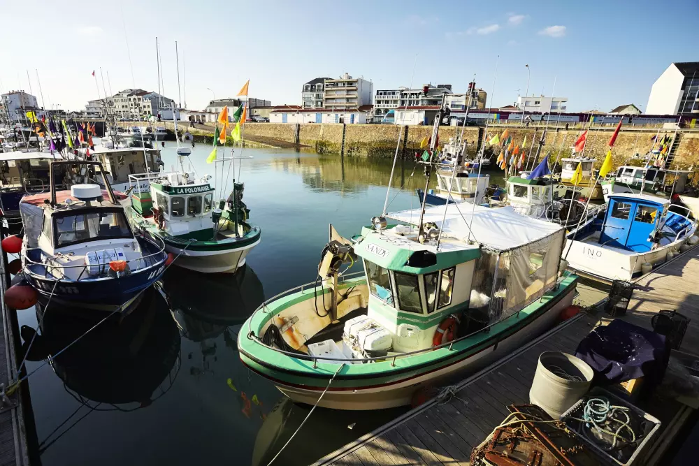 Campsite Domaine des Salins 4 Stars★★★★