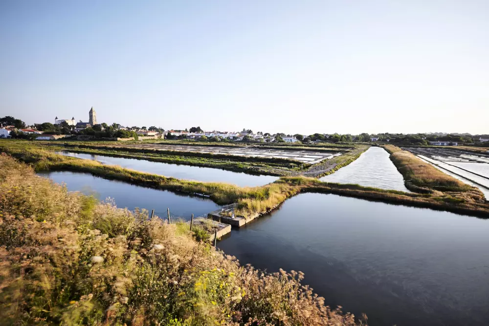 Campsite Domaine des Salins 4 Stars★★★★