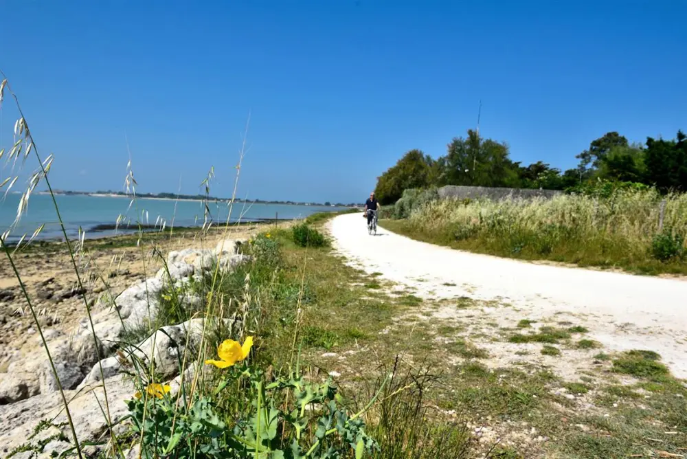 Campingplatz la Marzelle3 Sterne★★★