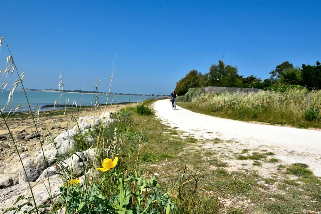 Camping la Marzelle3 Stelle★★★