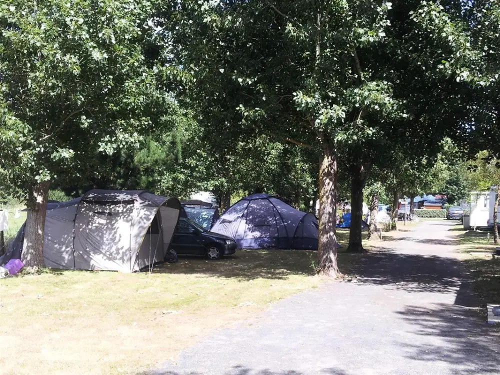 Campingplatz la Marzelle3 Sterne★★★