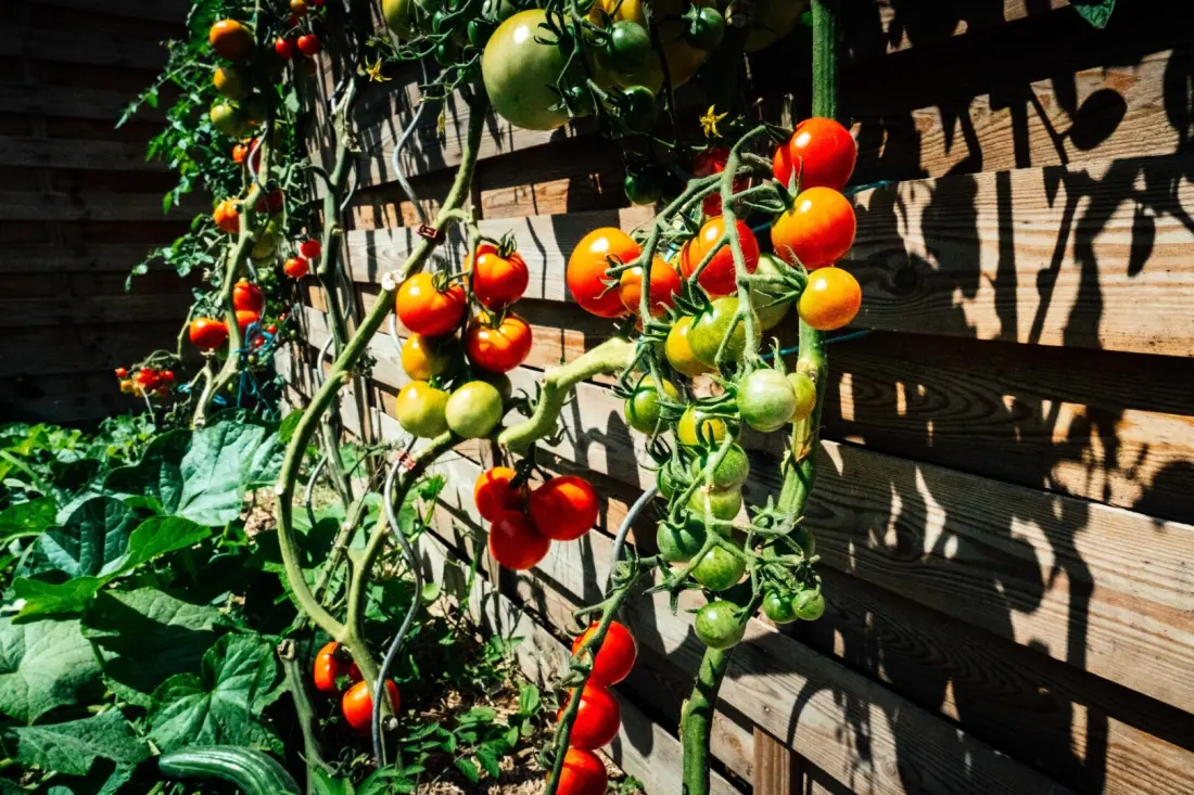 Camping Ushuaïa Villages La Conge 3 Sterren★★★