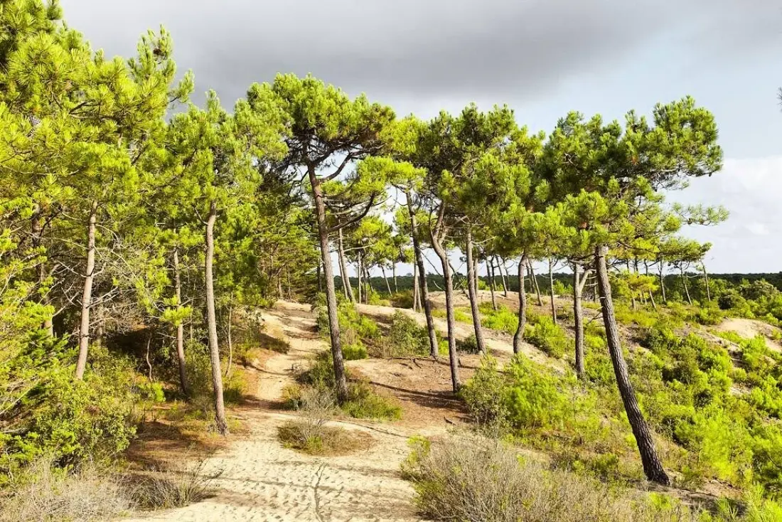 Camping Ushuaïa Villages La Conge 3 Sterren★★★