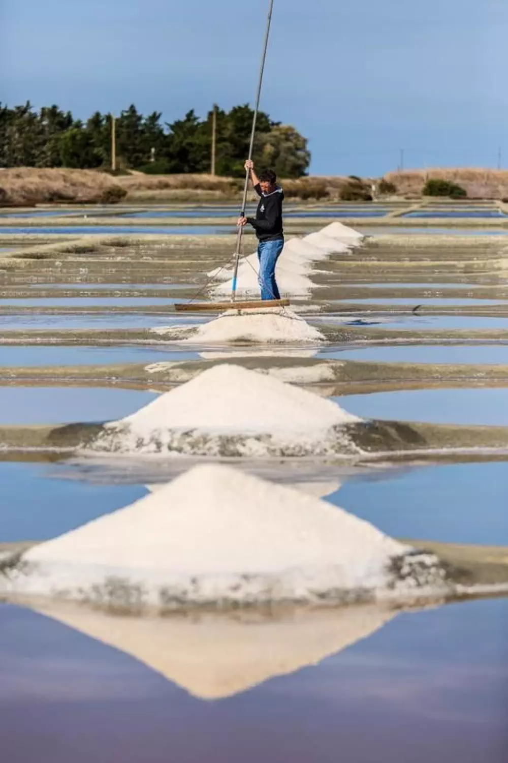 Flower Camping Au Bois Des Biches 4 Stars★★★★