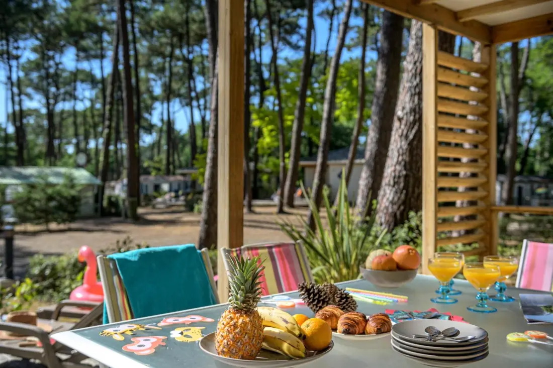 Flower Camping Au Bois Des Biches 4 Sterren★★★★