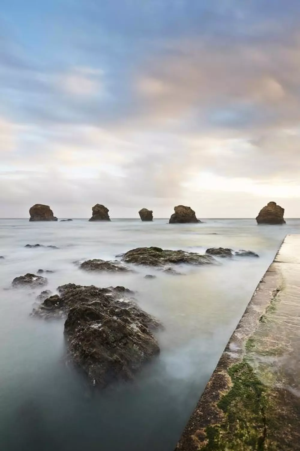Flower Camping Au Bois Des Biches 4 Stars★★★★