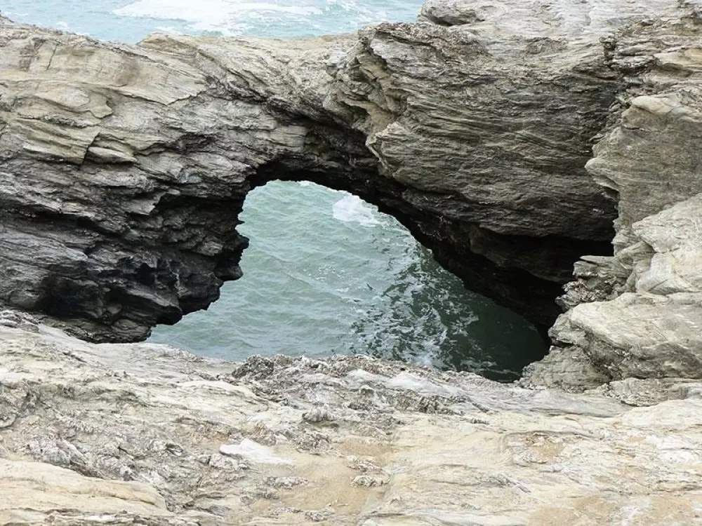 Flower Camping Au Bois Des Biches 4 Stars★★★★