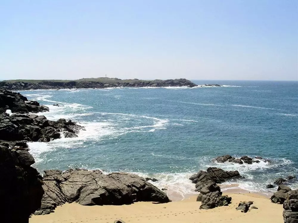 Flower Camping Au Bois Des Biches 4 Stars★★★★