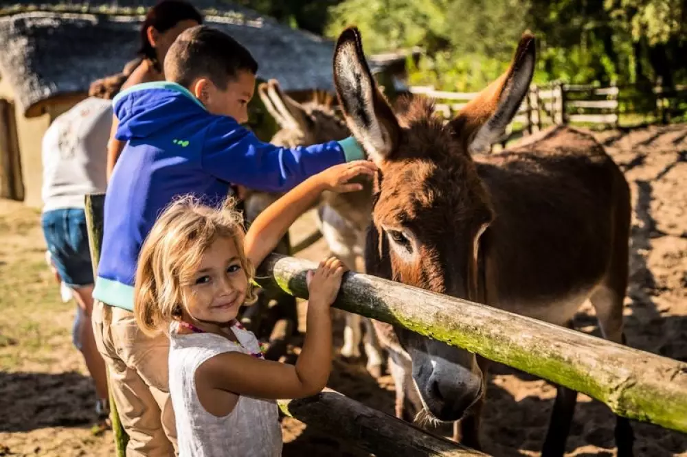 Flower Camping Au Bois Des Biches 4 Stars★★★★