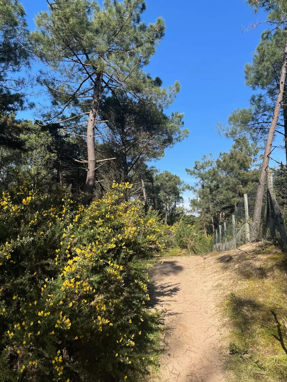 Ushuaia Villages - Camping la Conge 3 Csillagok★★★