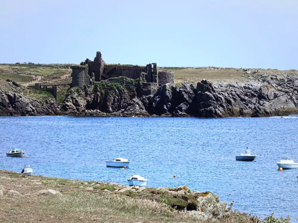 Ushuaia Villages - Camping la Conge 3 Csillagok★★★