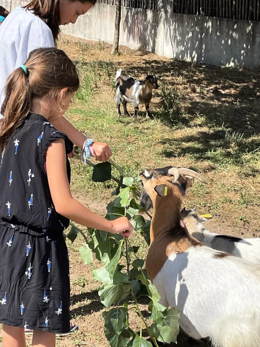 Ushuaia Villages - Camping la Conge 3 Csillagok★★★