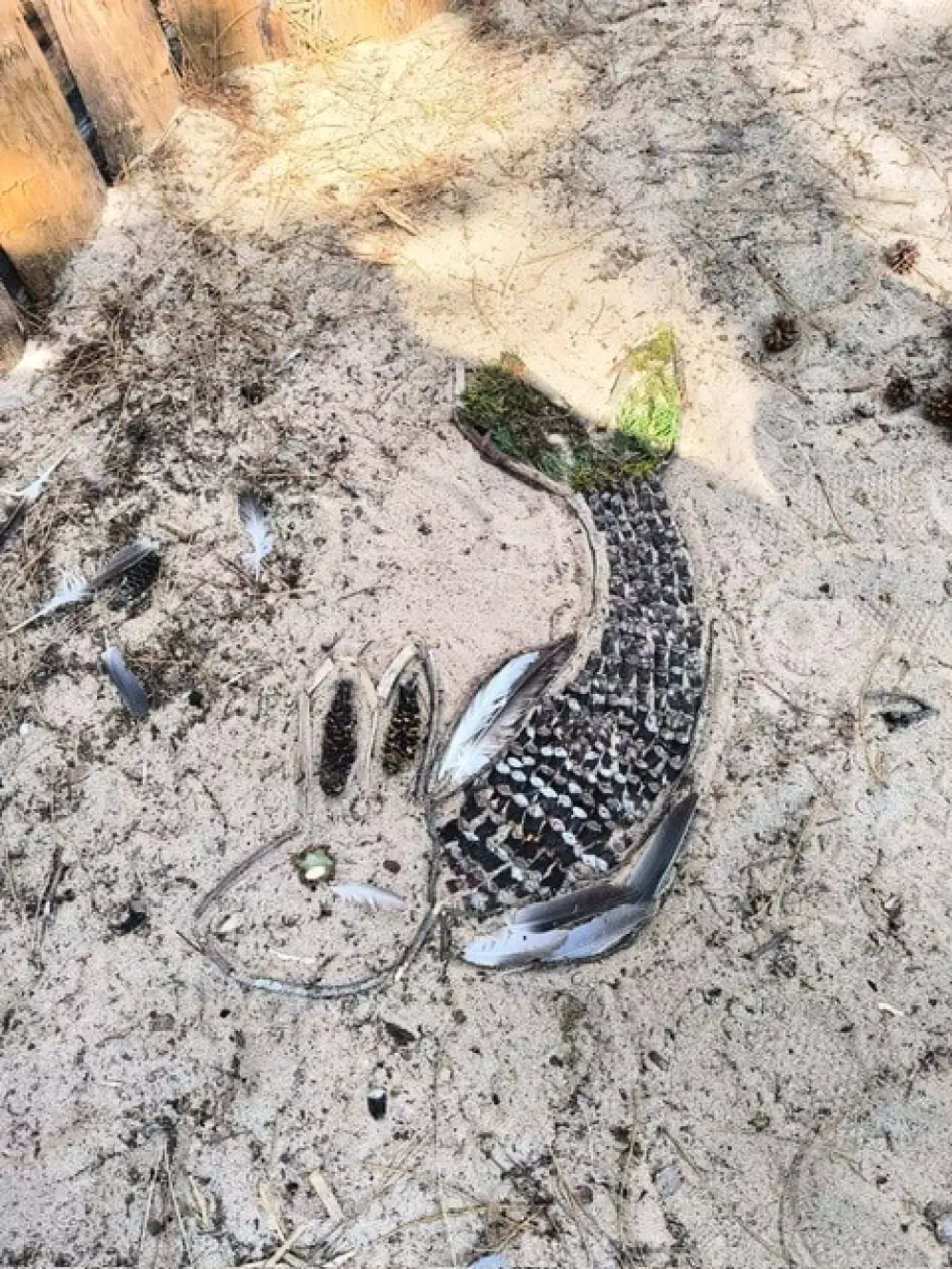 Ushuaia Villages - Camping la Conge 3 Csillagok★★★