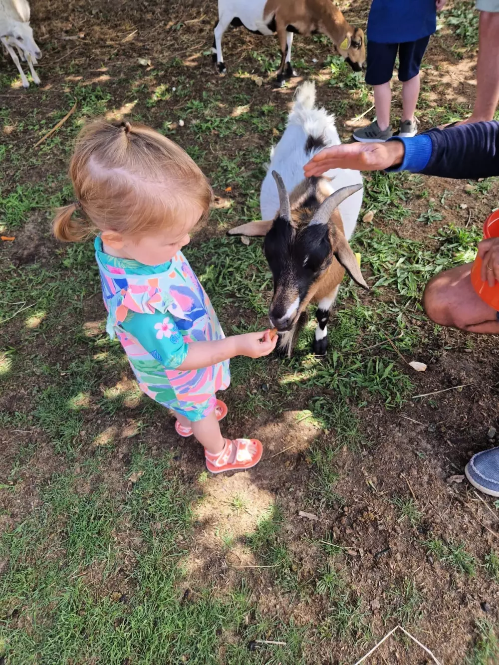 Ushuaia Villages - Camping la Conge 3 Csillagok★★★